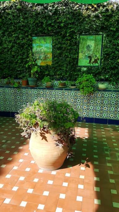 Sevilla A Tus Pies Майрена-дель-Альхарафе Екстер'єр фото